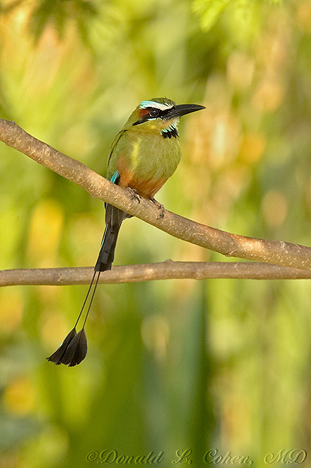 Click Here To Go Back
