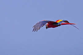 1D2_00890