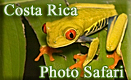Costa Rica Photo Safari - April, 2009