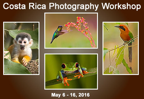 Click here for a YouTube Video of Costa Rica Images