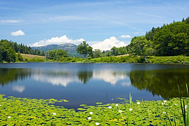 1D2_00384